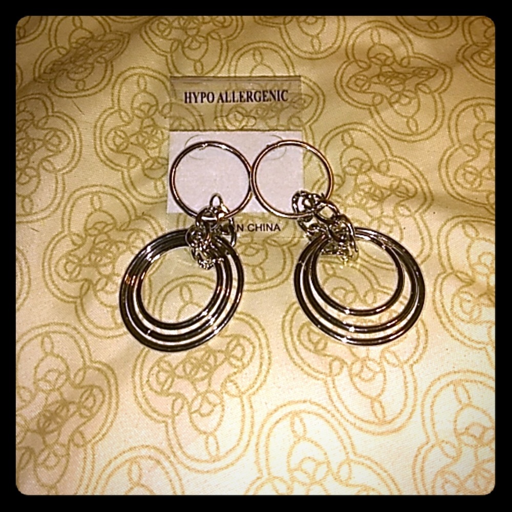 🎉Silver Hoop Earrings🎉